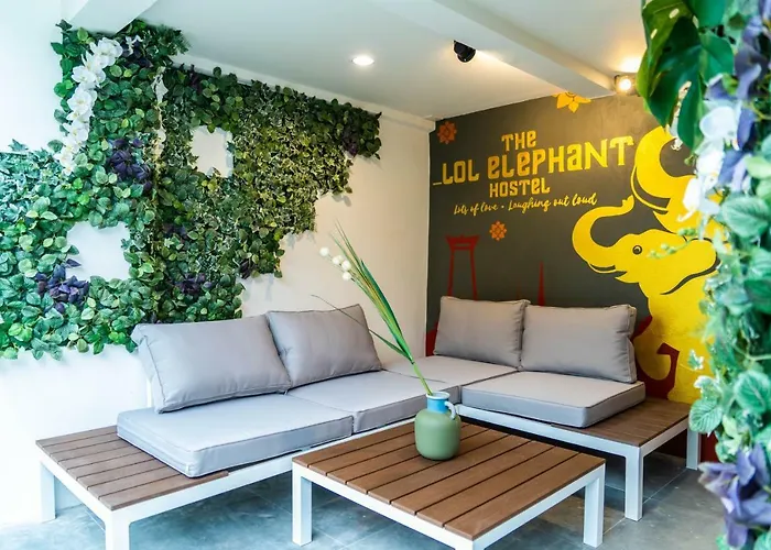 The Lol Elephant Hostel