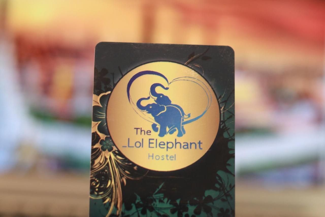 The Lol Elephant छात्रावास