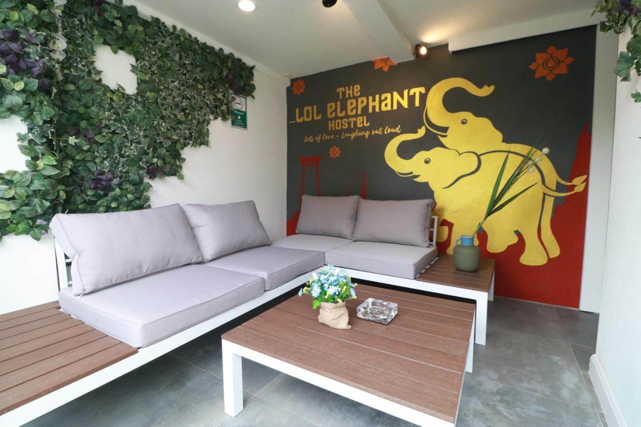 The Lol Elephant छात्रावास